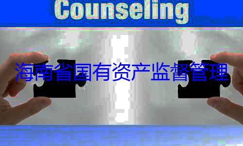 资产监督管委副书记王有福接受审海南省国有理委员会党查调查